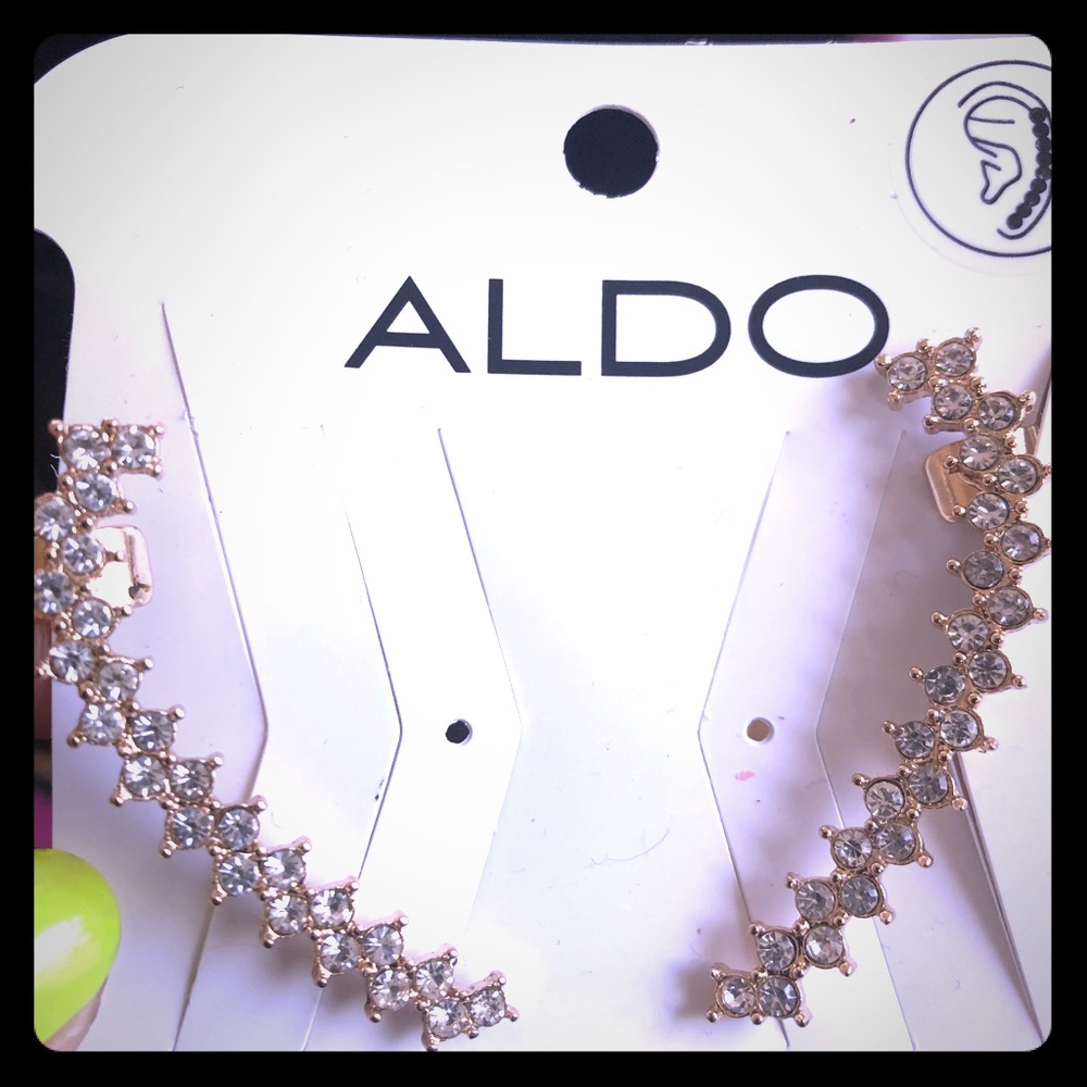 Aldo earrings. Never worn! Non negotiable 12